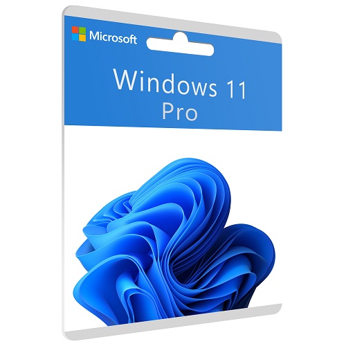 Windows 11 Professional - RefKeys